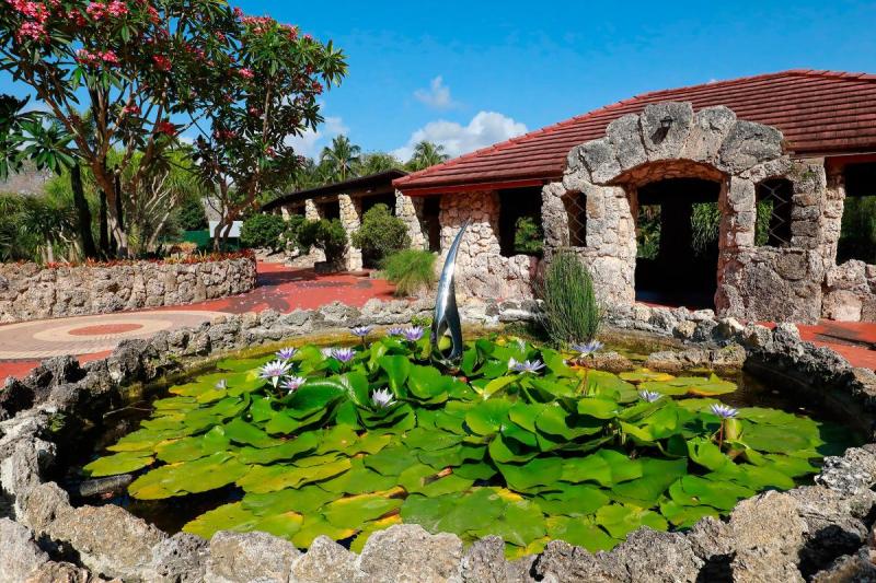 Water-lily-garden-at-Pinecrest-Gardens